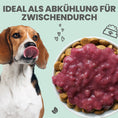 Bild in Galerie-Betrachter laden, noms+ Hunde Smoothie-Bowl – fruchtiger Elektrolyt-Booster 200g