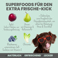Bild in Galerie-Betrachter laden, noms+ Hunde Smoothie-Bowl – fruchtiger Elektrolyt-Booster 200g
