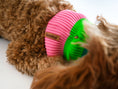 Bild in Galerie-Betrachter laden, THE GLOW LOOP von LUMIIES® - NEON HUNDESCHAL