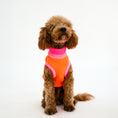 Bild in Galerie-Betrachter laden, THE GLOW JUMPER von LUMIIES® - HOCHELASTISCHER NEON HUNDEPULLOVER