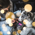 Bild in Galerie-Betrachter laden, Tales & Tails Lachs doch mal – Trainingsleckerli 100 % Lachs für Hunde