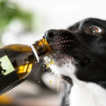 Bild in Galerie-Betrachter laden, Tales & Tails Hanföl für Hunde – Omega-3 für Haut & Fell