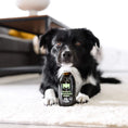 Bild in Galerie-Betrachter laden, Tales & Tails Hanföl für Hunde – Omega-3 für Haut & Fell