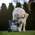 Bild in Galerie-Betrachter laden, LammBa Zamba! - Softes Trockefutter mit Lamm - 1,5kg