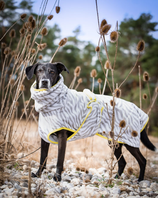 Modisches Accessoire oder geniale Erfindung?