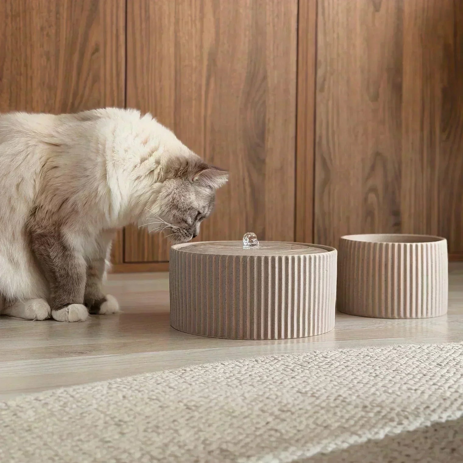 Keramik, Plastik oder Edelstahl: Welcher Trinkbrunnen ist besser für Katzen?