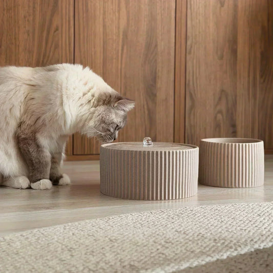 Keramik, Plastik oder Edelstahl: Welcher Trinkbrunnen ist besser für Katzen?