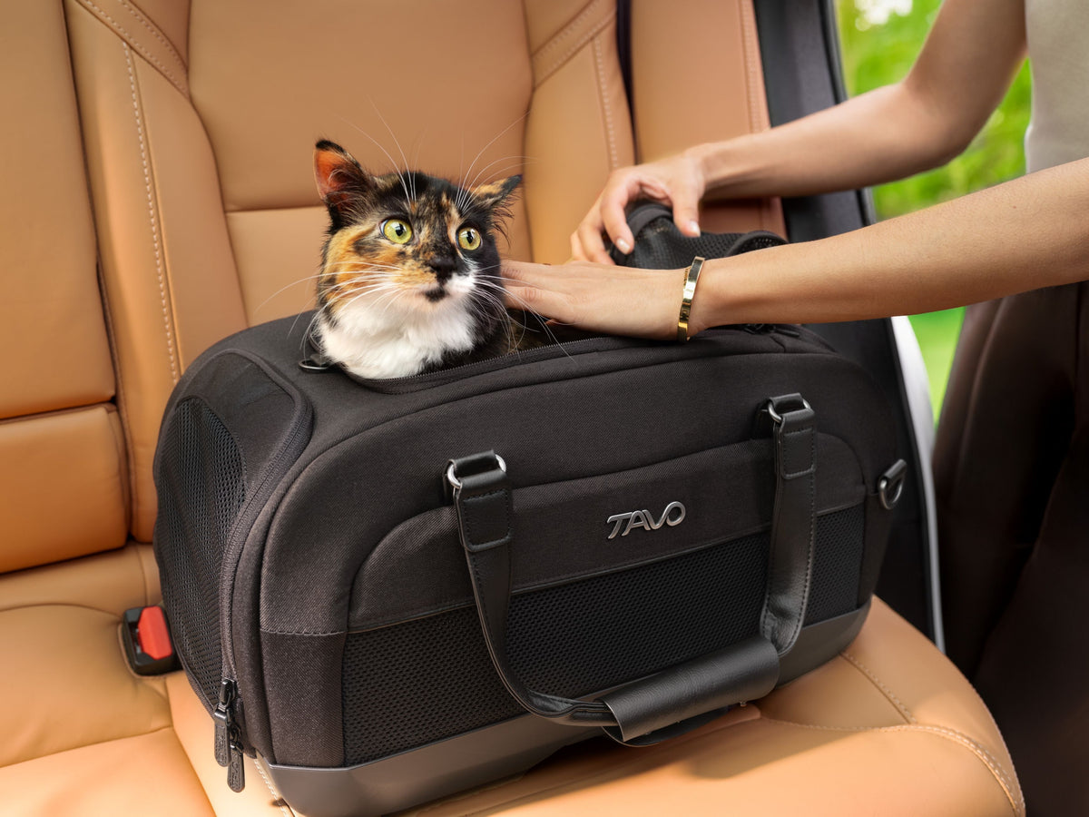 TAVO Pets Ratgeber: Das passende Reisesystem für Hund & Katze