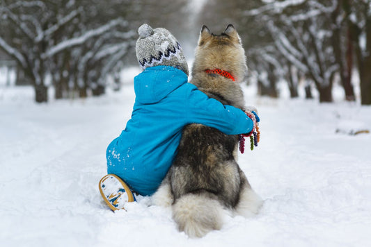 Kind und Hund sitzend im Schnee, beide sind von hinten zu sehen auf dem Bild