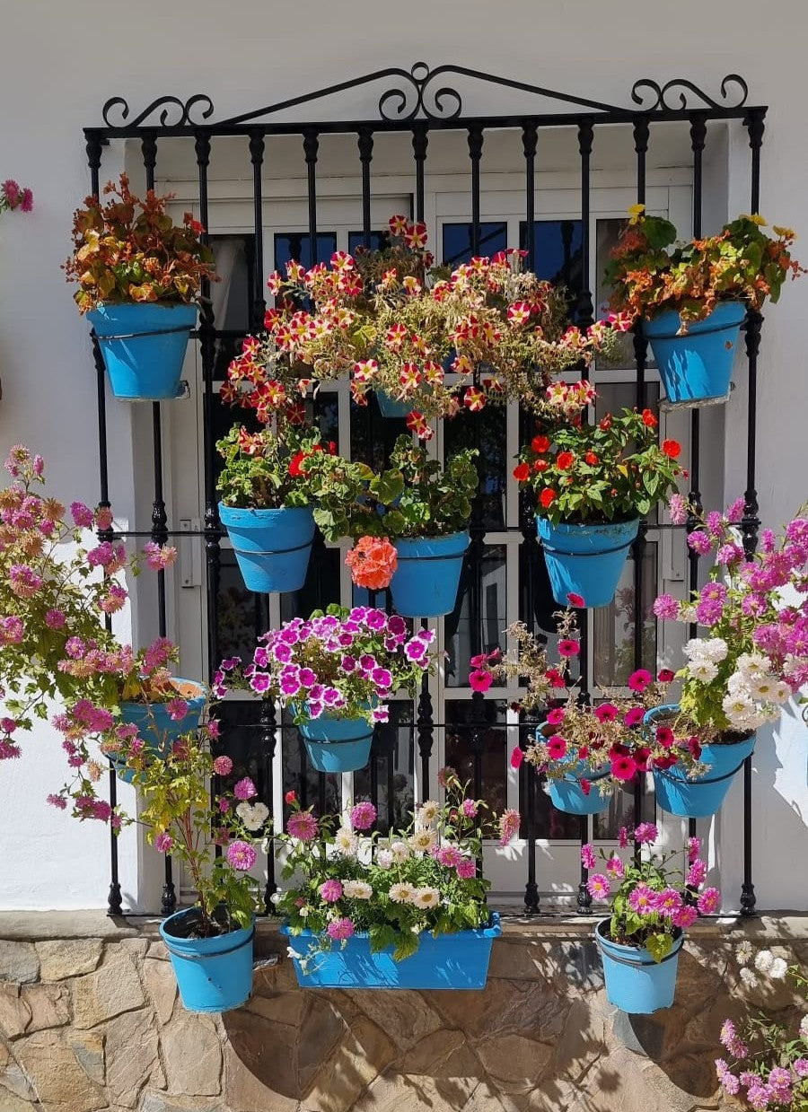 Ecopetique - Schön, dass Ihr hier seid!