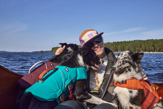 Sommer, Sonne, Segel & Sicherheit für deinen Hund