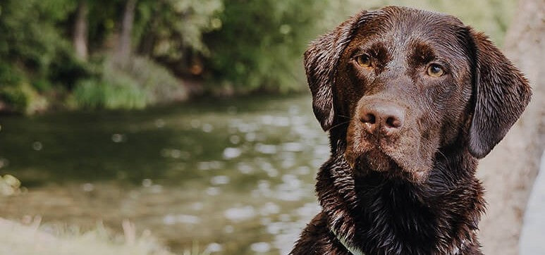 "Hey Lana!" - Liebe auf den ersten Blick