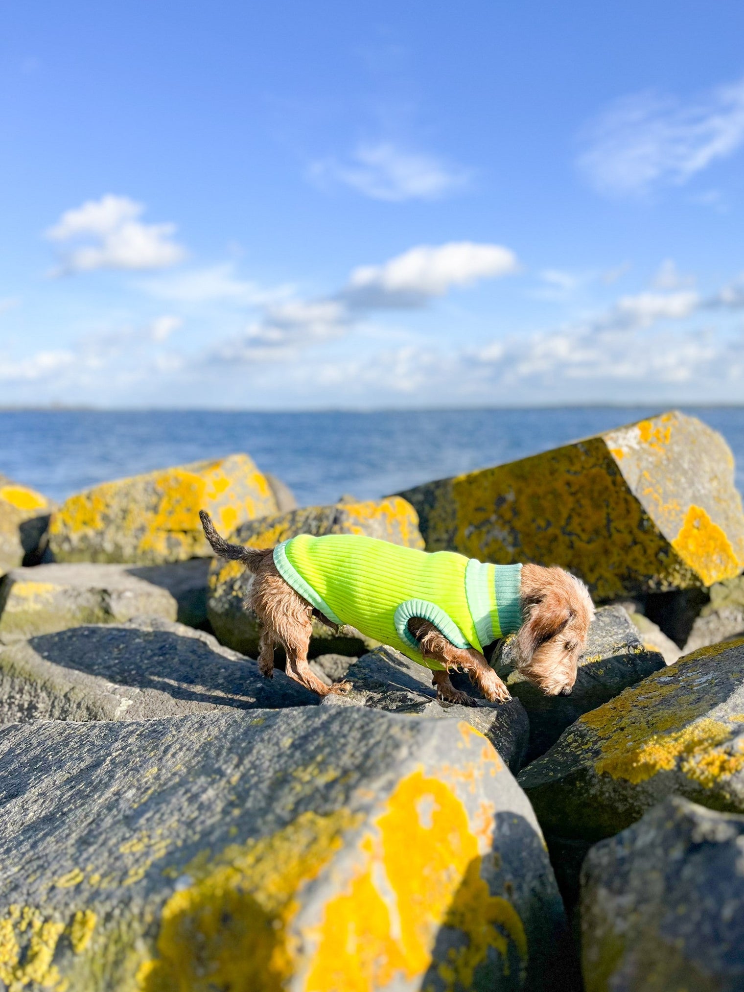 Neon rein ins Leben –  grau raus!