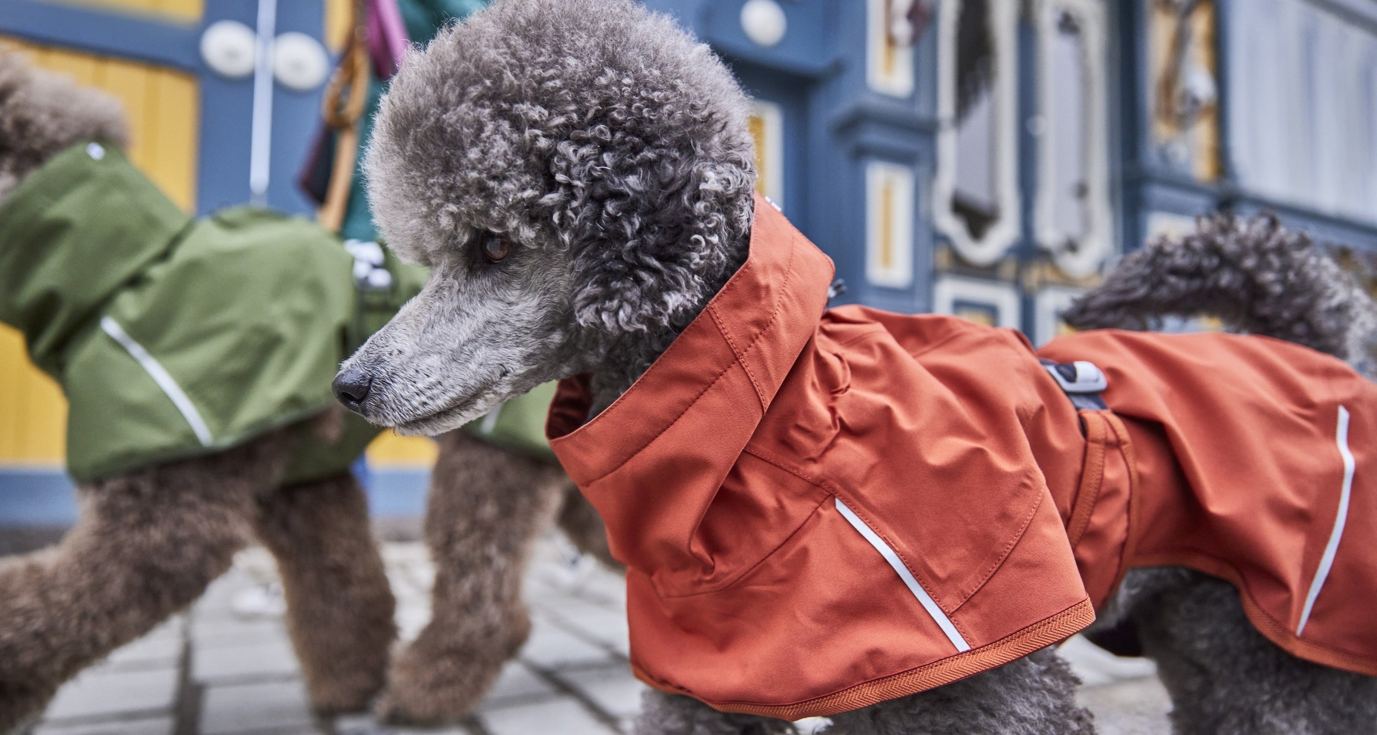 Regenmantel & Hundejacke