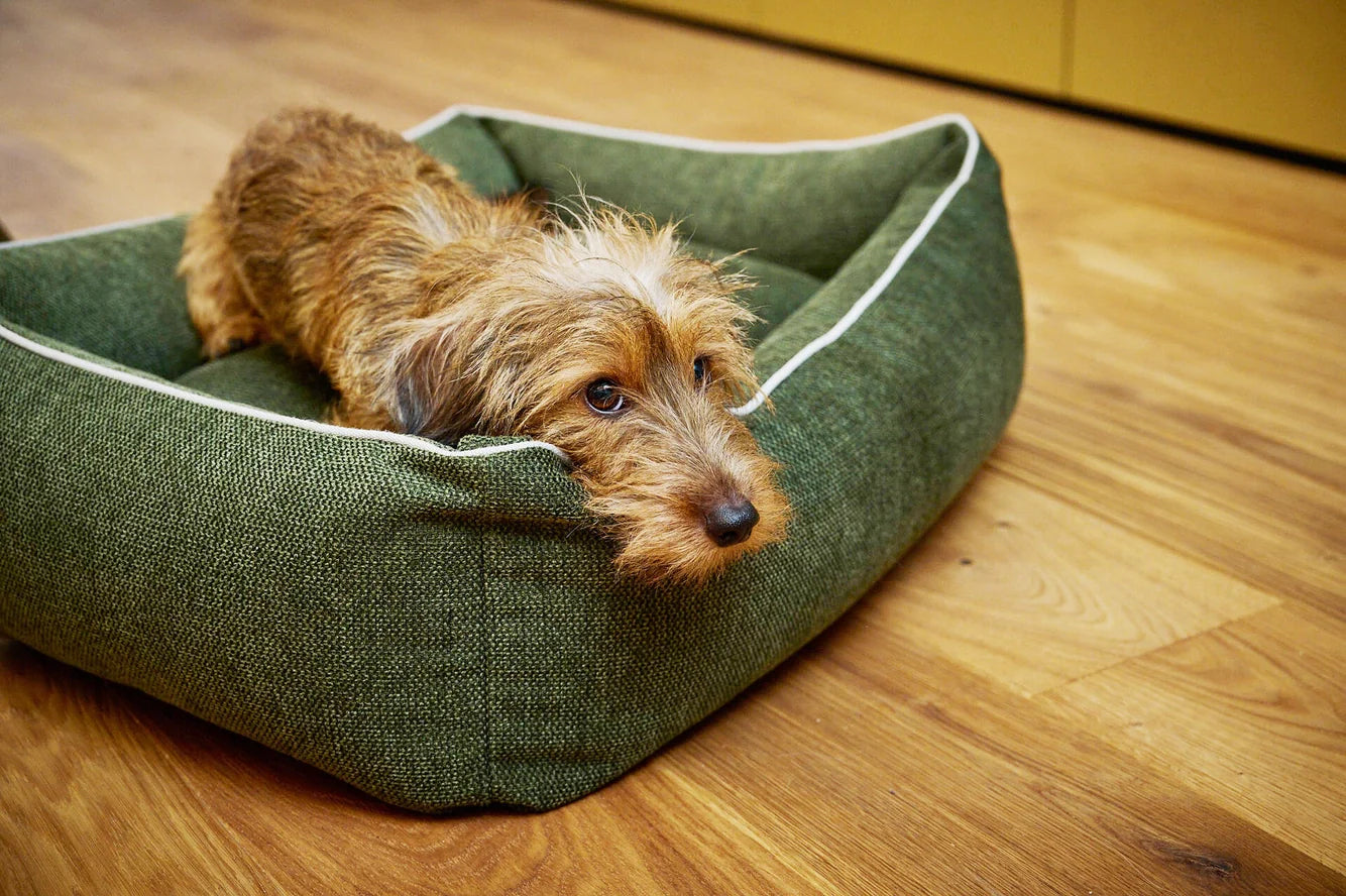 Klassische Hundebetten