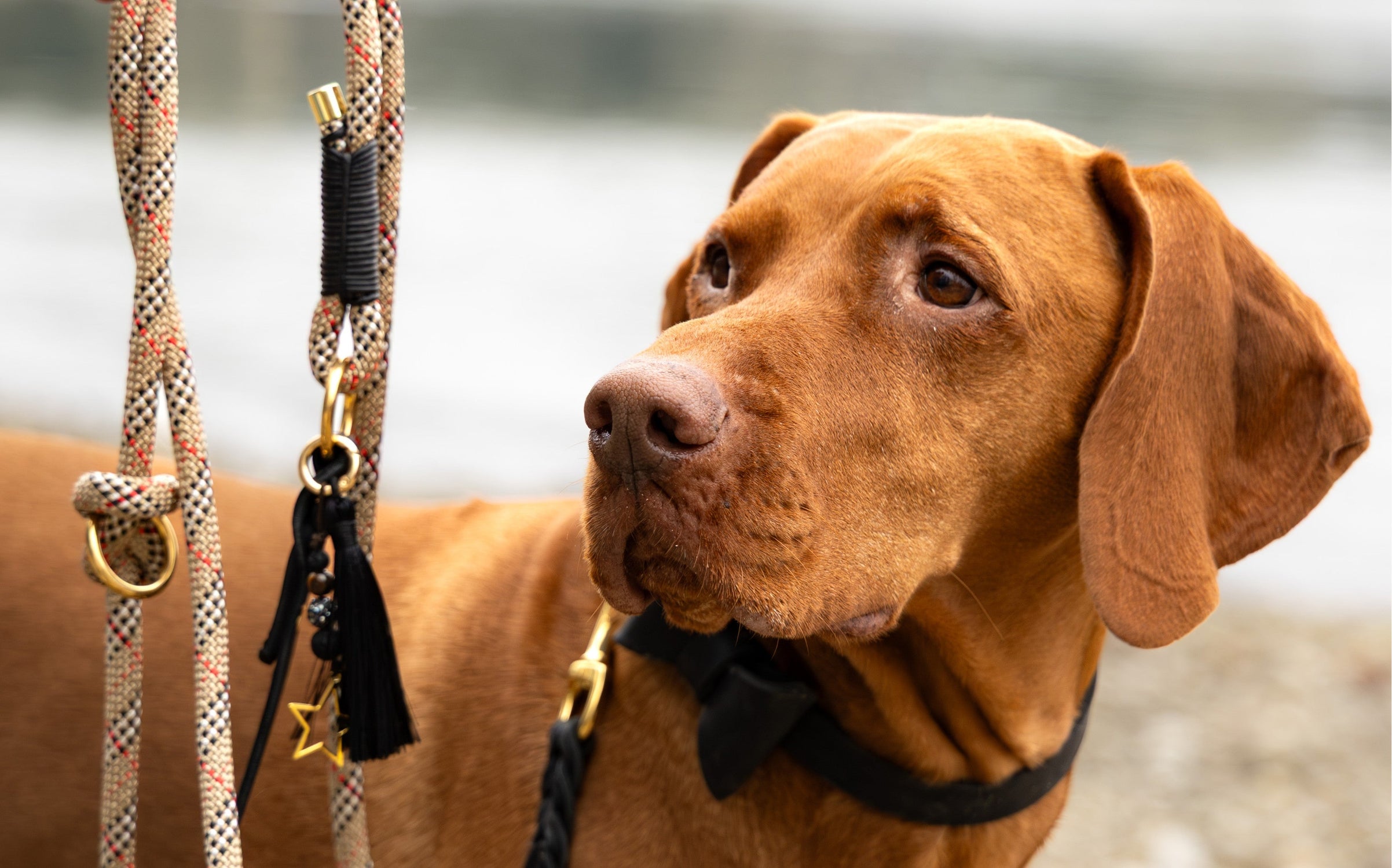 Pawnchor Luxus Leinen