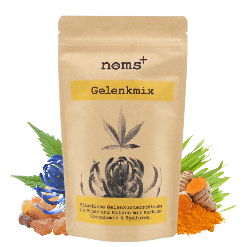 Gelenkmix für Hunde & Katzen mit Teufelskralle, Kurkuma & Glucosamin