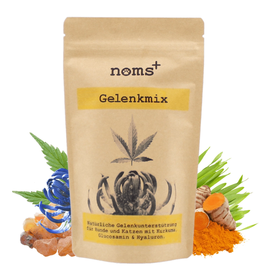 Gelenkmix für Hunde & Katzen mit Teufelskralle, Kurkuma & Glucosamin