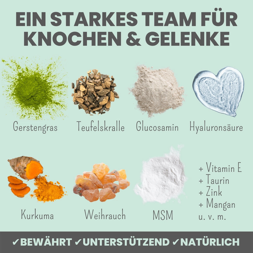 Gelenkmix für Hunde & Katzen mit Teufelskralle, Kurkuma & Glucosamin