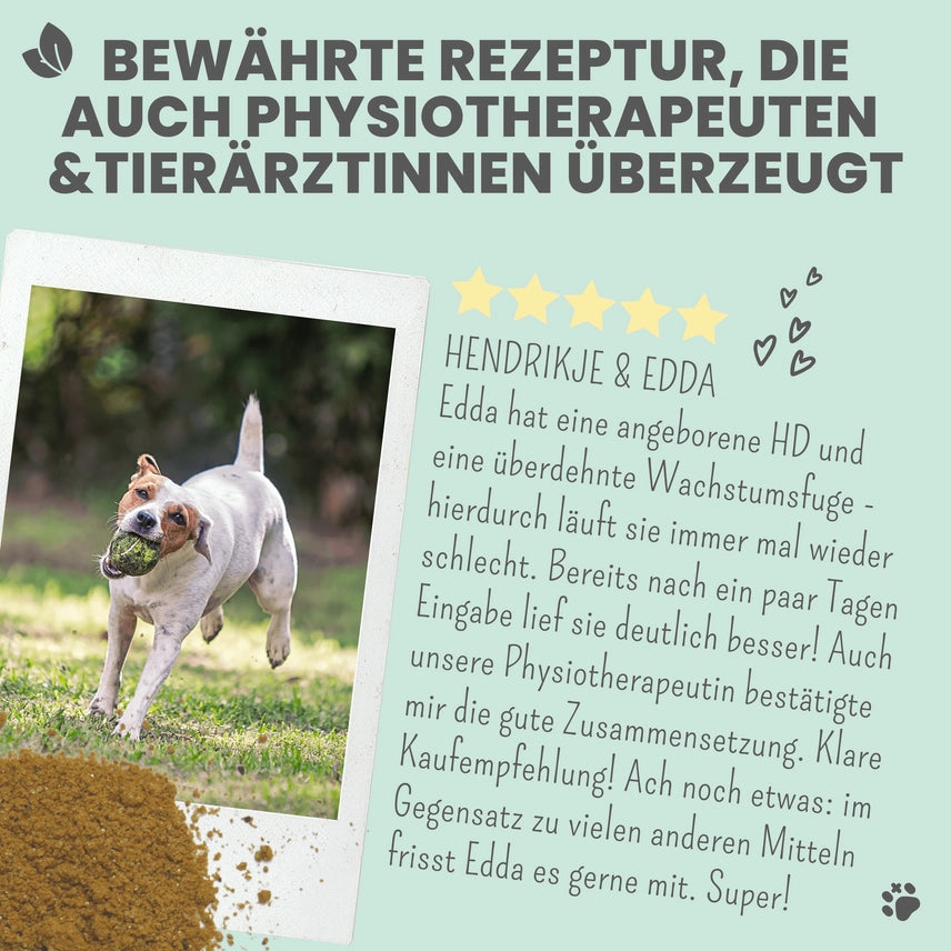 Gelenkmix für Hunde & Katzen mit Teufelskralle, Kurkuma & Glucosamin