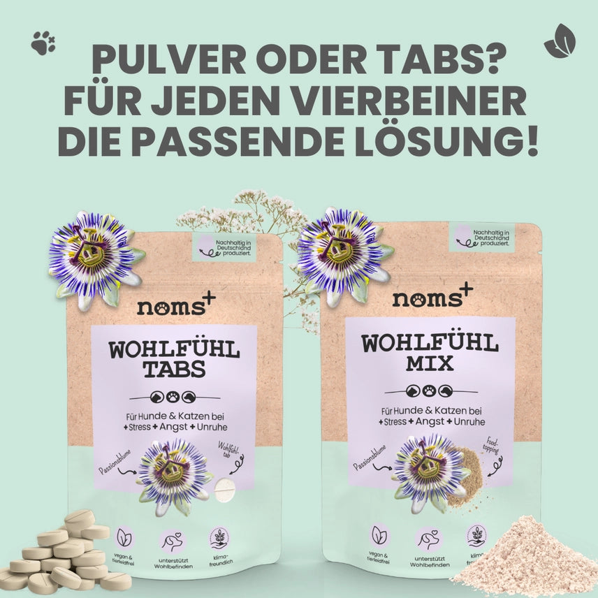 Wohlfühlmix für Hunde & Katzen bei Stress, Angst & Unruhe