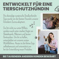 Bild in Galerie-Betrachter laden, Wohlfühlmix für Hunde & Katzen bei Stress, Angst & Unruhe
