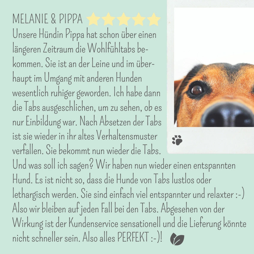 Wohlfühlmix für Hunde & Katzen bei Stress, Angst & Unruhe