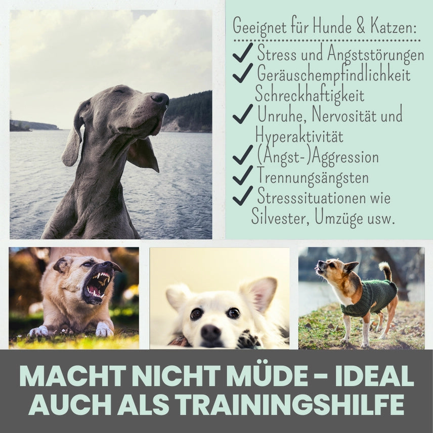 Wohlfühlmix für Hunde & Katzen bei Stress, Angst & Unruhe