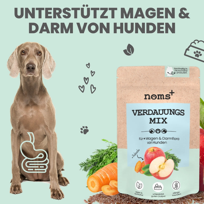 Verdauungsmix für Hunde & Katzen als Präbiotikum für Magen- & Darmflora