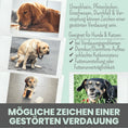 Bild in Galerie-Betrachter laden, Verdauungsmix für Hunde & Katzen als Präbiotikum für Magen- & Darmflora
