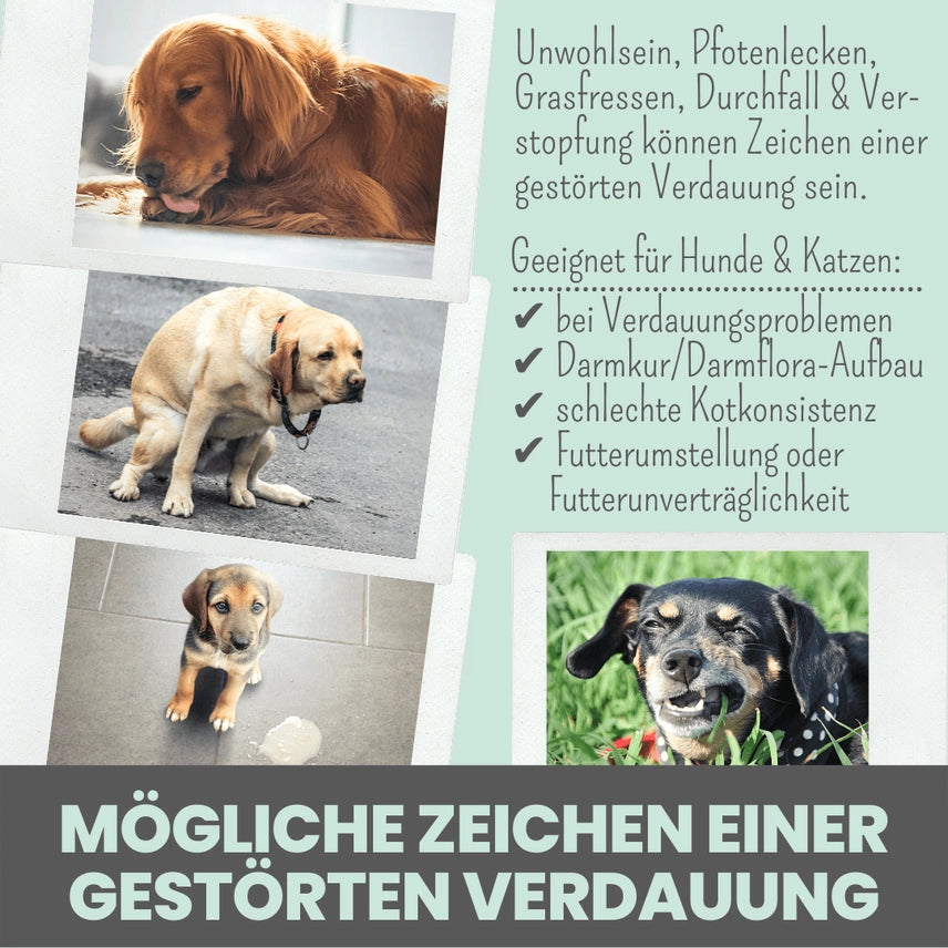 Verdauungsmix für Hunde & Katzen als Präbiotikum für Magen- & Darmflora