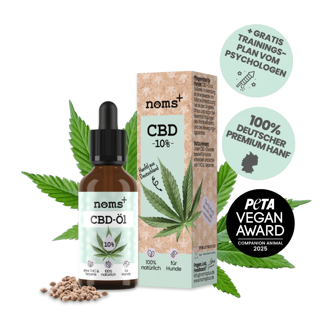 10% CBD Tropfen für Hunde