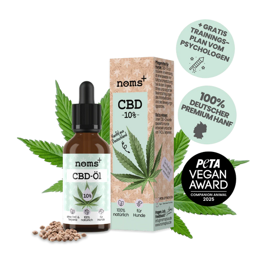10% CBD Tropfen für Hunde