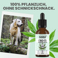 Bild in Galerie-Betrachter laden, 10% CBD Tropfen für Hunde
