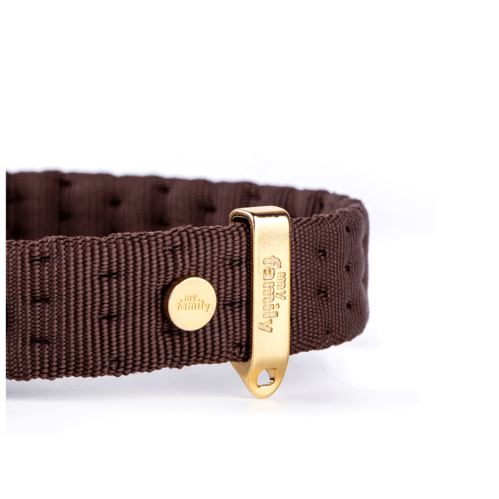 Myfamily Halsband Für Hunde - Synthetik, Made In Italy, 37-50 Cm, 24k Vergoldet, Mit ID-Tag-Halter