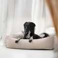 Bild in Galerie-Betrachter laden, CLASSIC Hundebett - NOVA CREME
