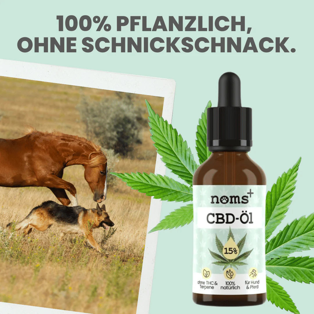 15% CBD Tropfen für Hunde und Pferde