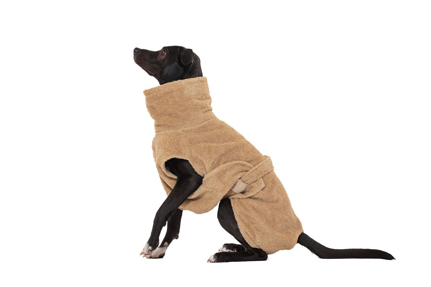 Hundebademantel aus Bio-Baumwolle