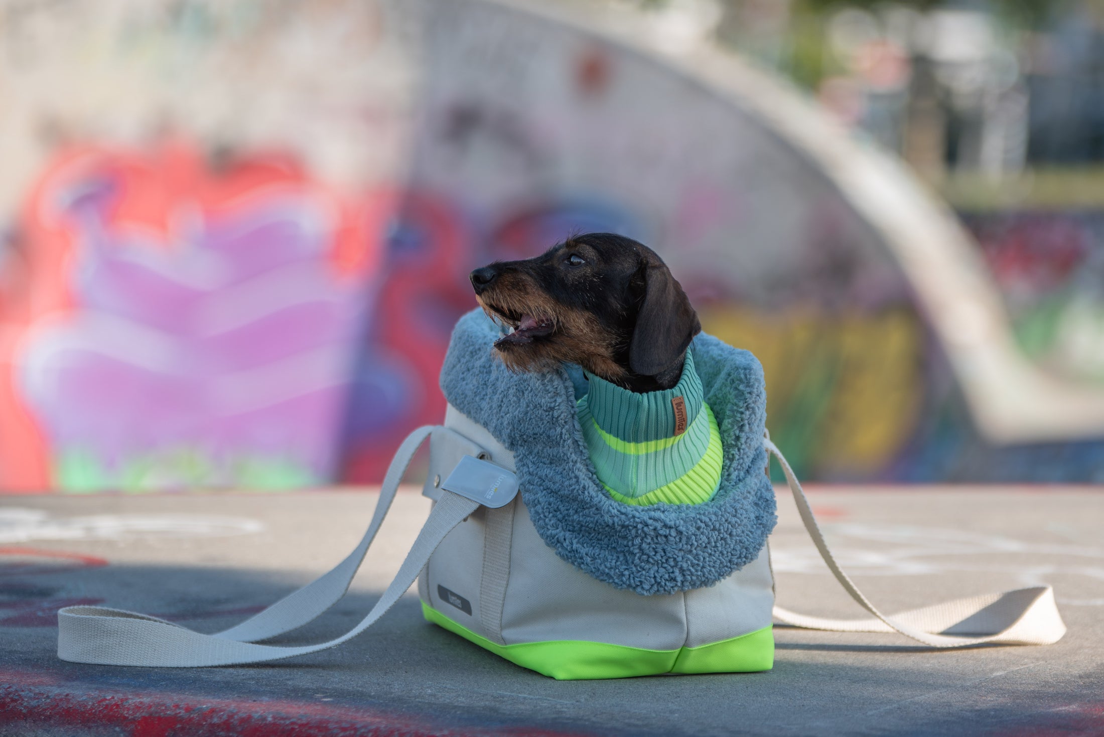 THE CANVAS BAG (HUNDETRAGETASCHE FÜR KLEINE HUNDERASSEN)