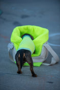 Bild in Galerie-Betrachter laden, THE CANVAS BAG (HUNDETRAGETASCHE FÜR KLEINE HUNDERASSEN)
