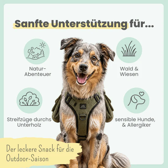 Z-Komplex für Hunde – vegane Soft-Snacks für Wald & Wiese