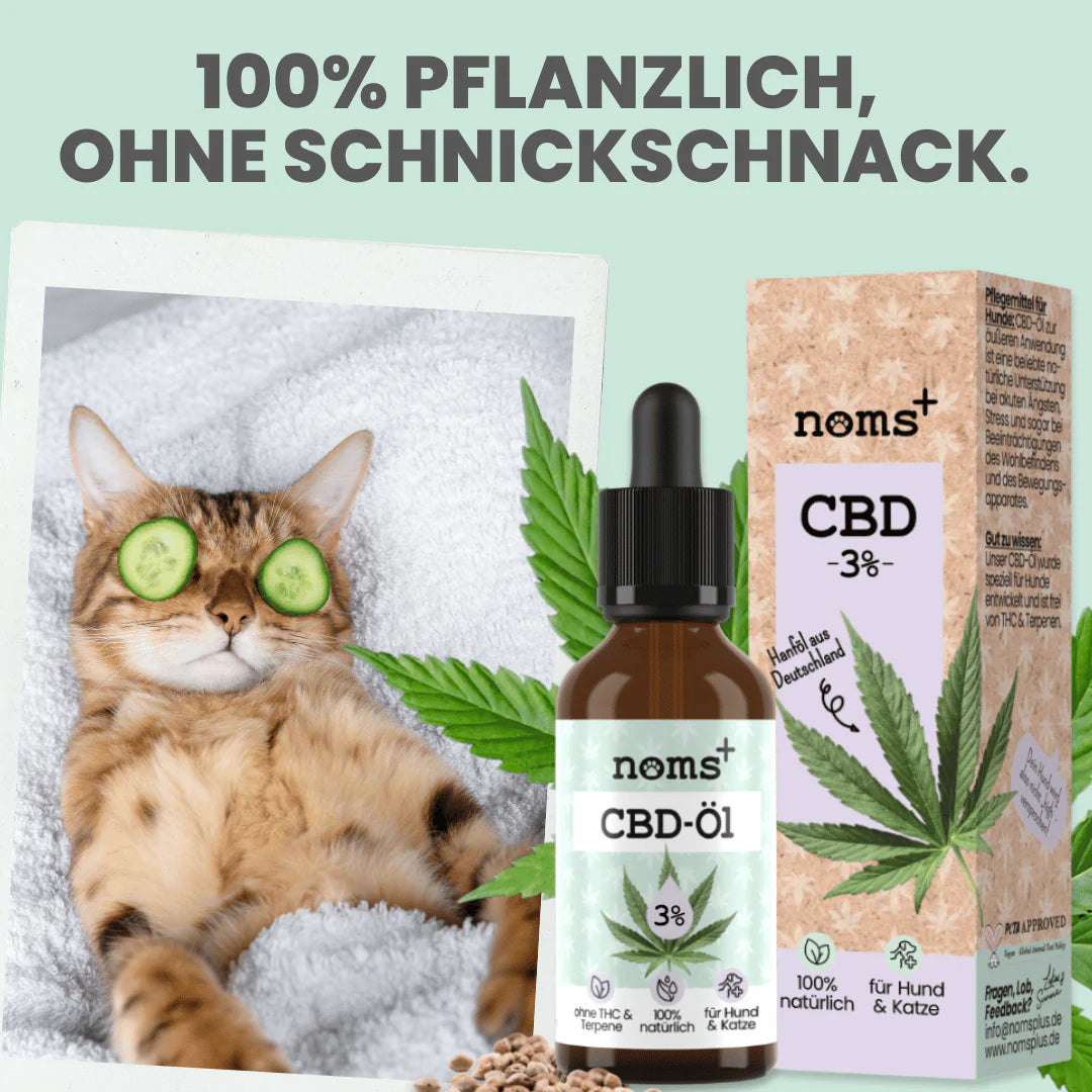 3% CBD Tropfen für Katzen und kleine Hunde 10ml