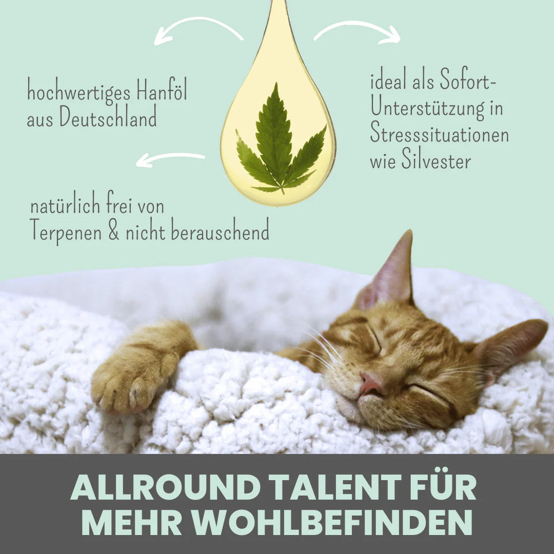 3% CBD Tropfen für Katzen und kleine Hunde 10ml