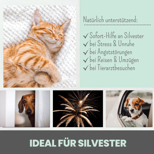 3% CBD Tropfen für Katzen und kleine Hunde 10ml