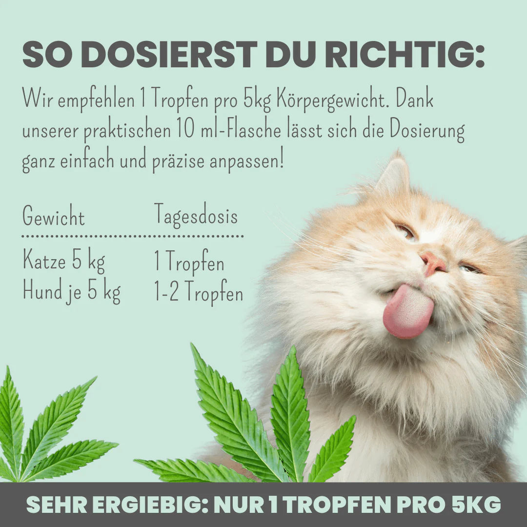 3% CBD Tropfen für Katzen und kleine Hunde 10ml
