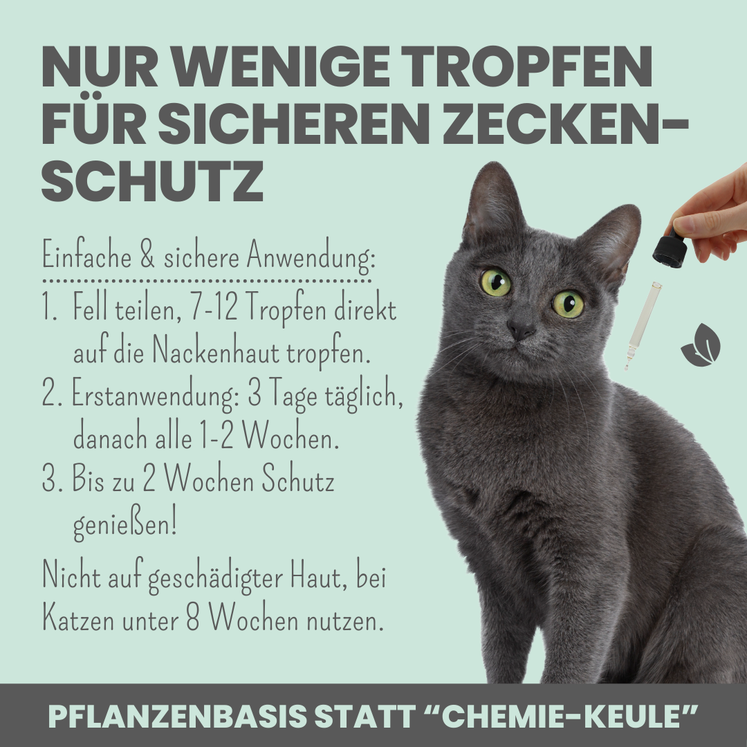 Zpot-on für Katzen gegen Zecken, Flöhe, Milben und Mücken