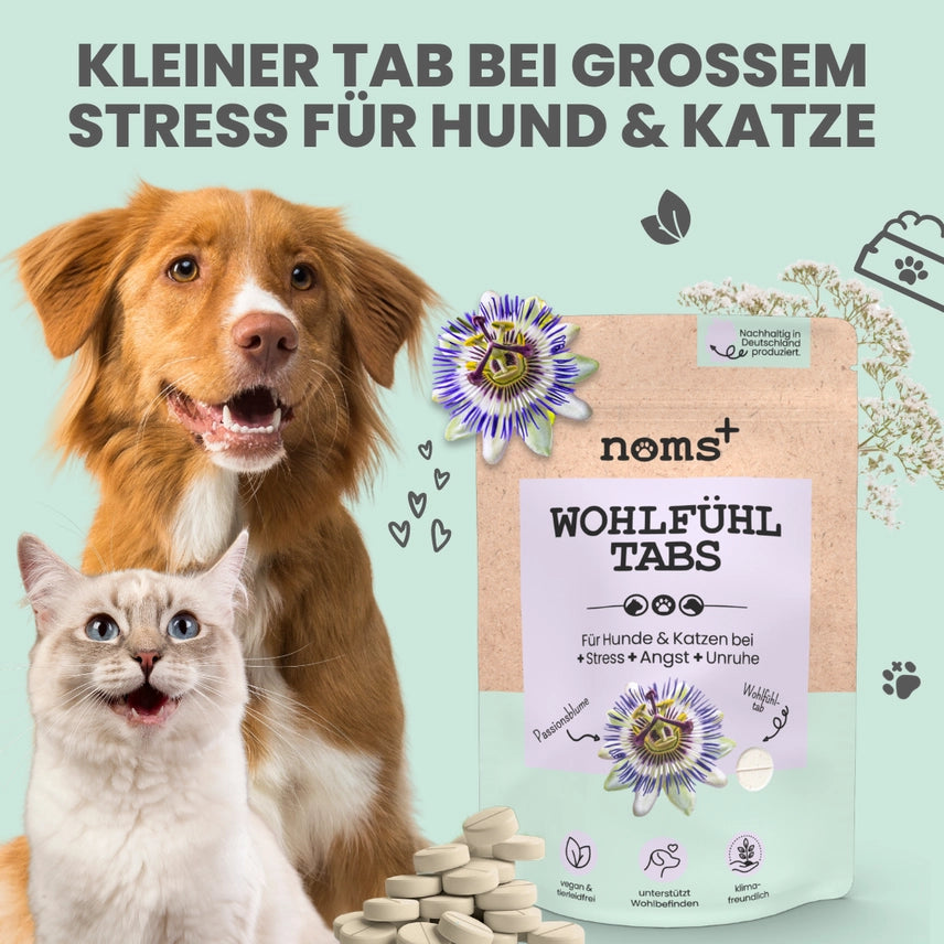 Wohlfühltabs für Hunde & Katzen bei Stress, Angst & Unruhe