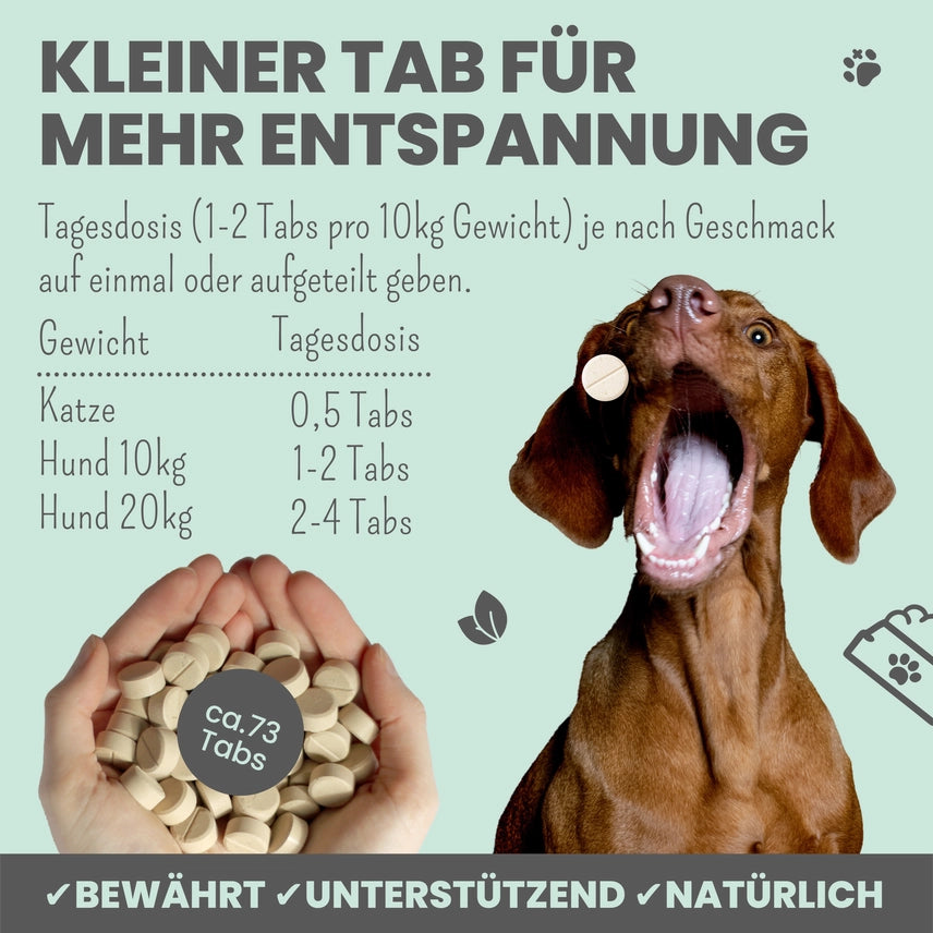 Wohlfühltabs für Hunde & Katzen bei Stress, Angst & Unruhe