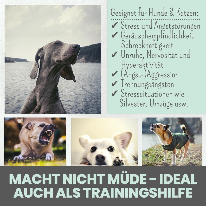 Wohlfühltabs für Hunde & Katzen bei Stress, Angst & Unruhe