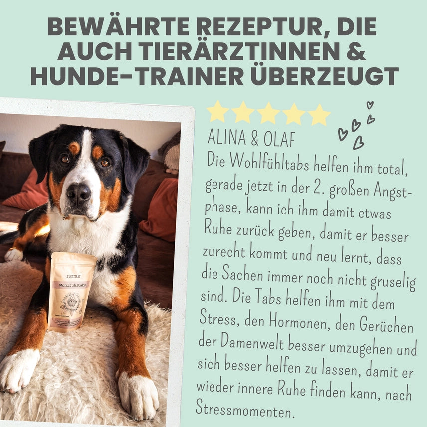 Wohlfühltabs für Hunde & Katzen bei Stress, Angst & Unruhe